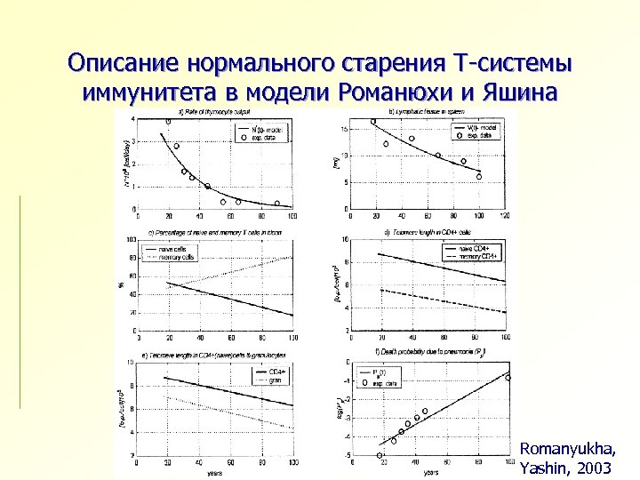 Описание нормального старения Т-системы иммунитета в модели Романюхи и Яшина Romanyukha, Yashin, 2003 