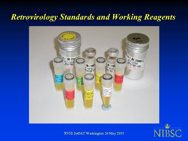 Retrovirology Standards and Working Reagents XVIII So. GAT Washington 24 May 2005 