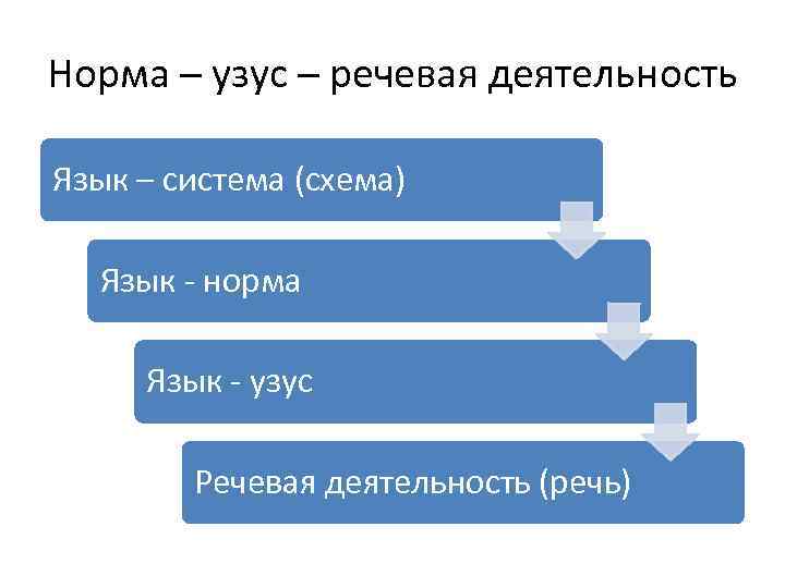 Язык норма речь. Система языка языковая норма узус. Схема норма узус. Схема норма узус акт речи. Соотношение нормы с системой, узусом, речью..