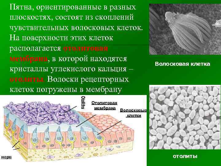 Для чего покрывают хромом каналы стволов многих стрелковых систем