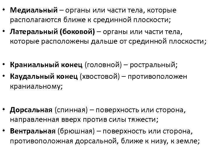  • Медиальный – органы или части тела, которые располагаются ближе к срединной плоскости;