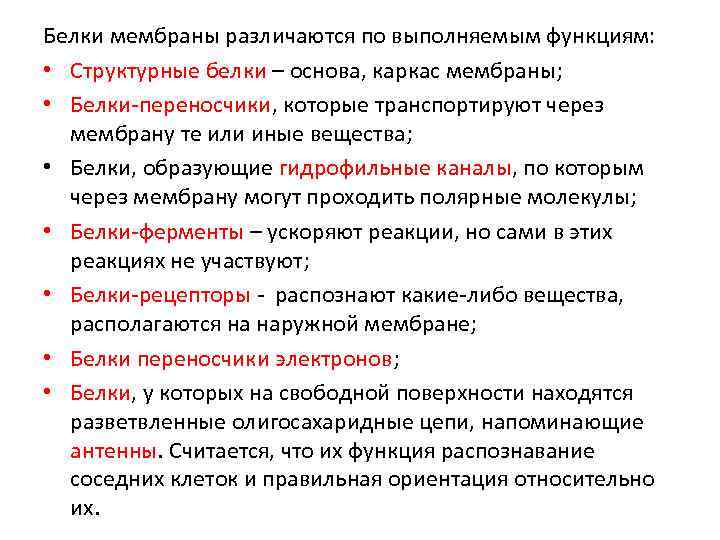 Белки мембраны различаются по выполняемым функциям: • Структурные белки – основа, каркас мембраны; •