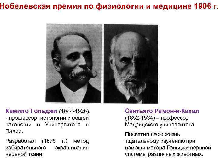 Нобелевская премия по физиологии и медицине 1906 г. Камило Гольджи (1844 -1926) Сантьяго Рамон-и-Кахал