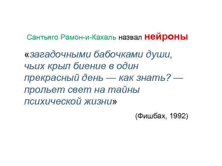 Сантьяго Рамон-и-Кахаль назвал нейроны «загадочными бабочками души, чьих крыл биение в один прекрасный день