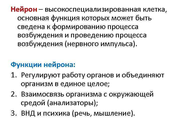 Нейрон – высокоспециализированная клетка, основная функция которых может быть сведена к формированию процесса возбуждения