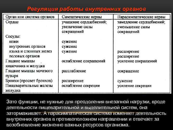 Регуляция работы внутренних органов Зато функции, не нужные для преодоления внезапной нагрузки, вроде деятельности