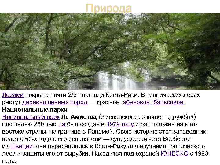 Природа Лесами покрыто почти 2/3 площади Коста-Рики. В тропических лесах растут деревья ценных пород