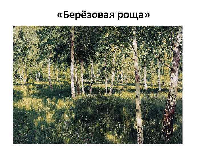  «Берёзовая роща» 