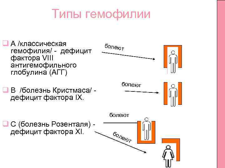 Типы гемофилии q А /классическая гемофилия/ дефицит фактора VIII антигемофильного глобулина (АГГ) болеют q