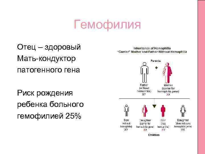 Гемофилия Отец – здоровый Мать кондуктор патогенного гена Риск рождения ребенка больного гемофилией 25%