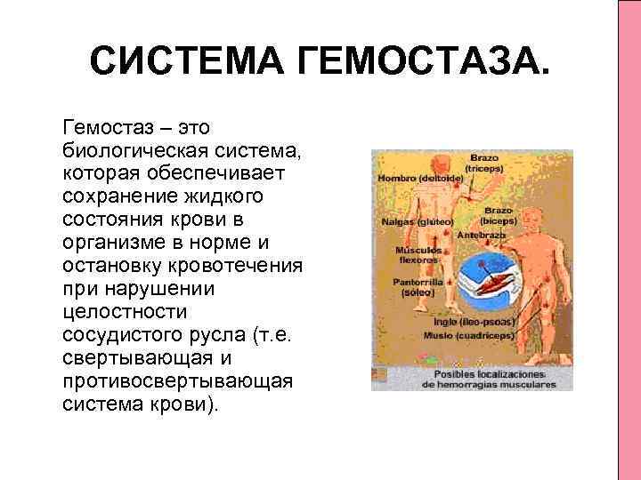 Геморрагические диатезы педиатрия презентация