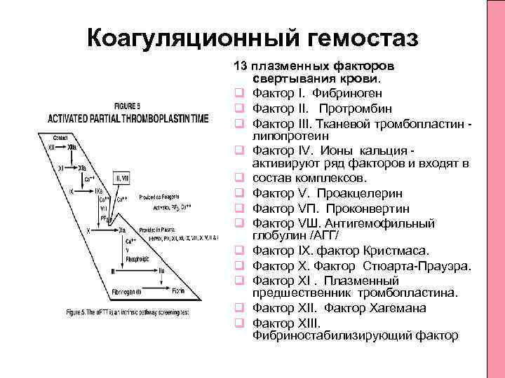 Коагуляционный гемостаз 13 плазменных факторов свертывания крови. q Фактор I. Фибриноген q Фактор II.