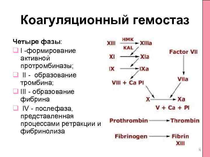 Коагуляционный гемостаз