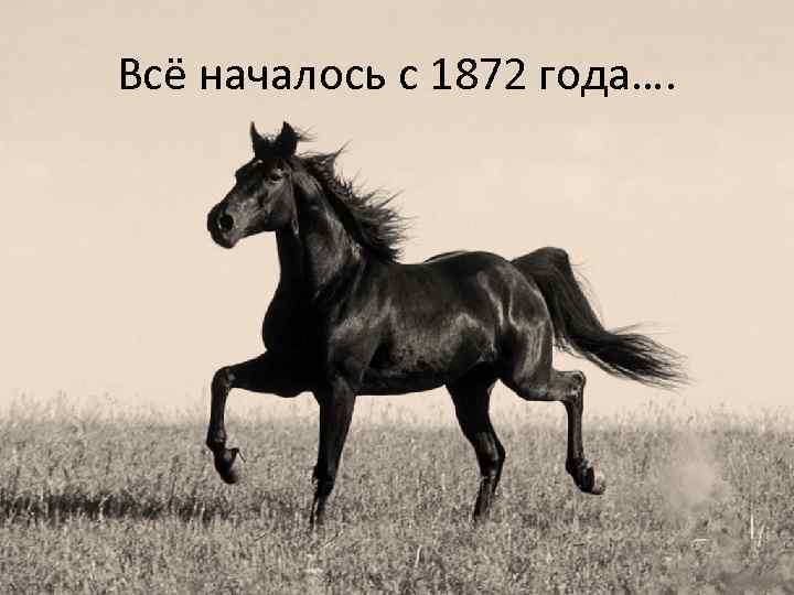 Всё началось с 1872 года…. 