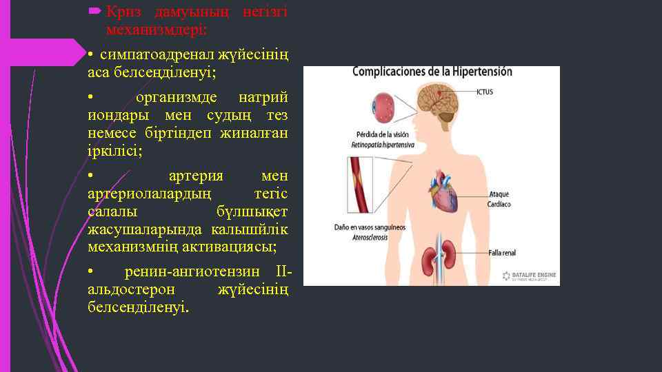  Криз дамуының негізгі механизмдері: • симпатоадренал жүйесінің аса белсеңділенуі; • организмде натрий иондары