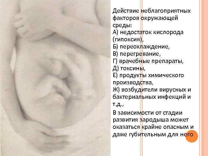 Действие неблагоприятных факторов окружающей среды: А) недостаток кислорода (гипоксия), Б) переохлаждение, В) перегревание, Г)