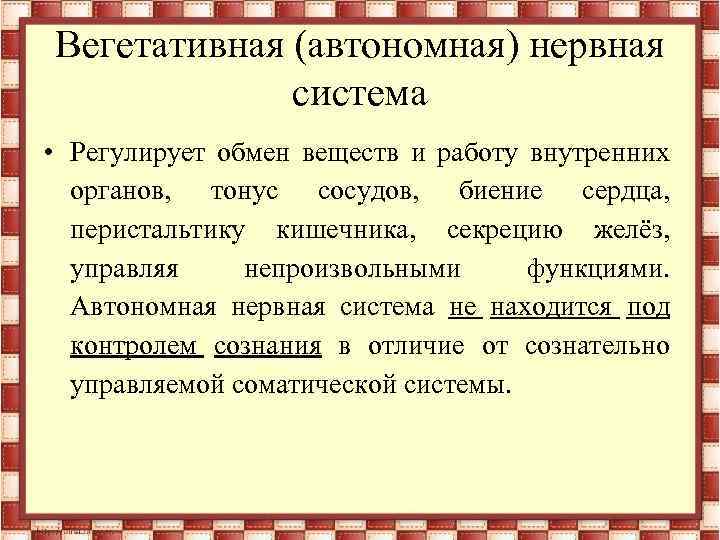 Вегетативная (автономная) нервная система • Регулирует обмен веществ и работу внутренних органов, тонус сосудов,