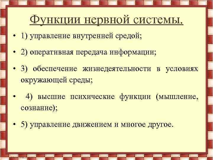 Функции нервной системы. • 1) управление внутренней средой; • 2) оперативная передача информации; •