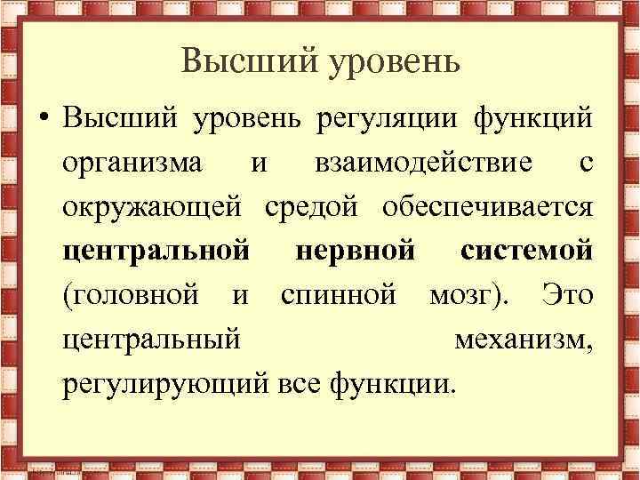 Высший уровень • Высший уровень регуляции функций организма и взаимодействие с окружающей средой обеспечивается