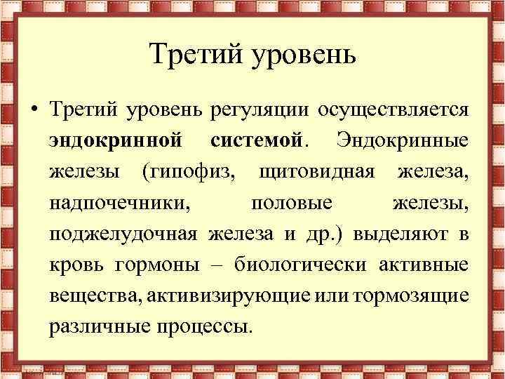 Третий уровень • Третий уровень регуляции осуществляется эндокринной системой. Эндокринные железы (гипофиз, щитовидная железа,