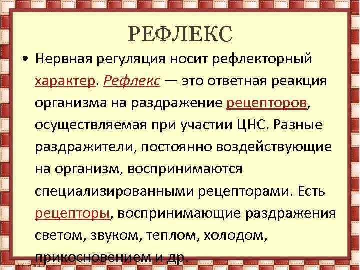 РЕФЛЕКС • Нервная регуляция носит рефлекторный характер. Рефлекс — это ответная реакция организма на