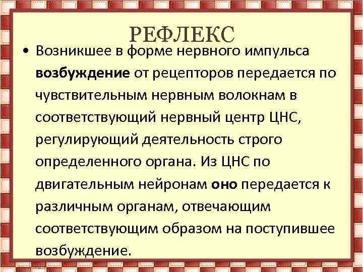 РЕФЛЕКС • Возникшее в форме нервного импульса возбуждение от рецепторов передается по чувствительным нервным