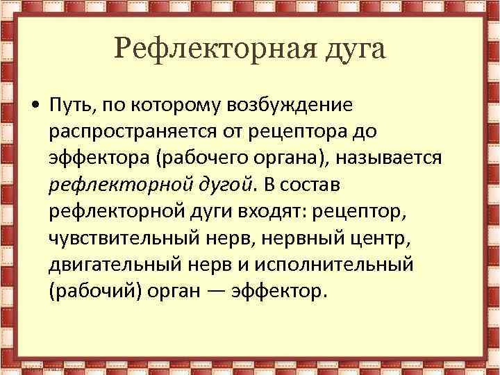 Рефлекторная дуга • Путь, по которому возбуждение распространяется от рецептора до эффектора (рабочего органа),