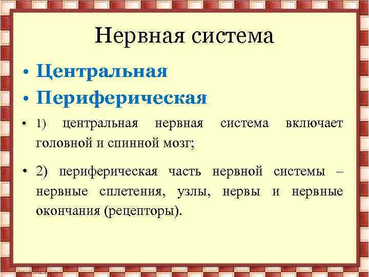 Нервная система • Центральная • Периферическая центральная нервная головной и спинной мозг; • 1)