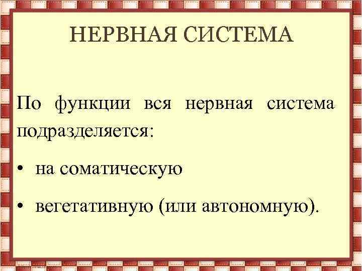 НЕРВНАЯ СИСТЕМА По функции вся нервная система подразделяется: • на соматическую • вегетативную (или