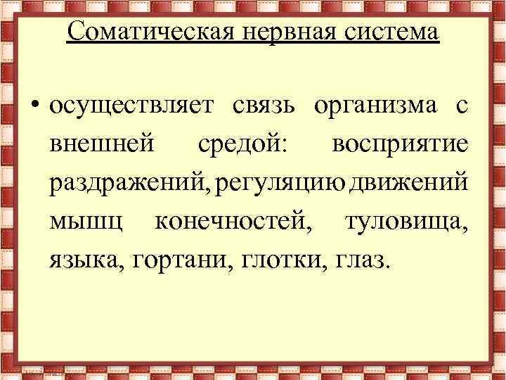 Соматическая нервная система • осуществляет связь организма с внешней средой: восприятие раздражений, регуляцию движений