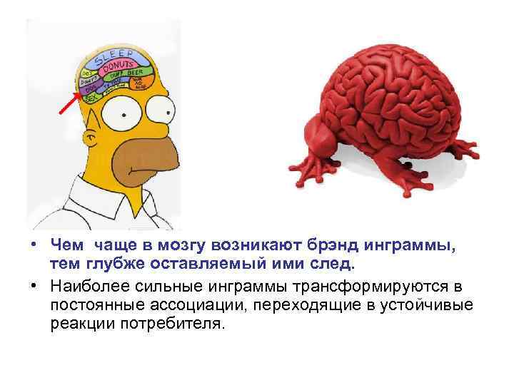 Едят ли мозг человека. Прикреплен ли мозг человека. Чтение может привести к развитию мозга.