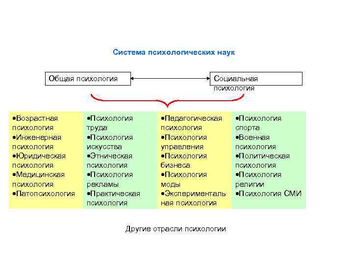 Система психологических наук Общая психология Возрастная психология Инженерная психология Юридическая психология Медицинская психология Патопсихология