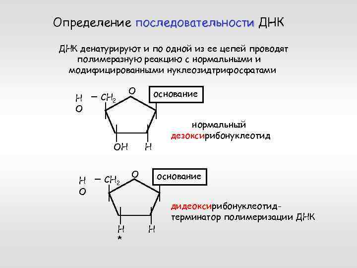 Особенности клонирования днк по типу in vivo