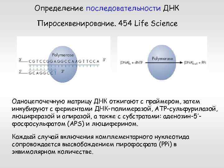 Особенности клонирования днк по типу in vivo