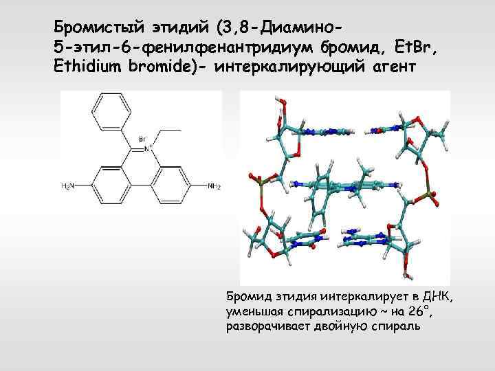 Особенности клонирования днк по типу in vivo