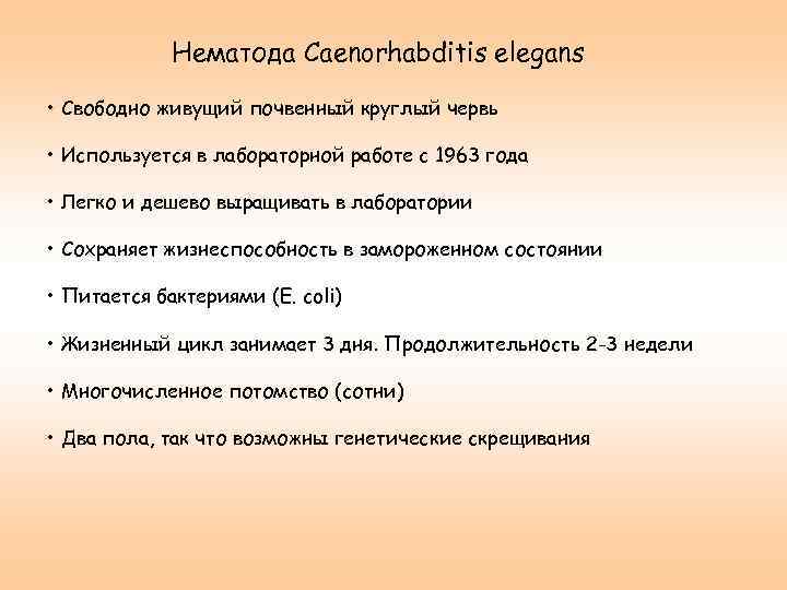 Нематода Caenorhabditis elegans • Свободно живущий почвенный круглый червь • Используется в лабораторной работе