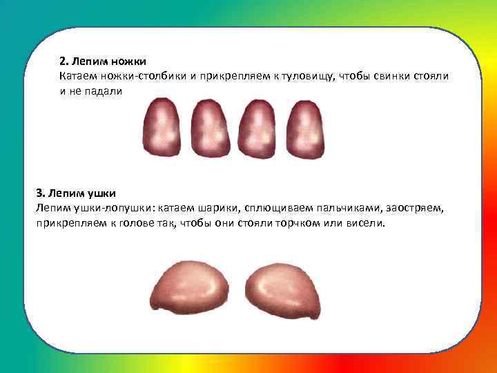 2. Лепим ножки Катаем ножки-столбики и прикрепляем к туловищу, чтобы свинки стояли и не