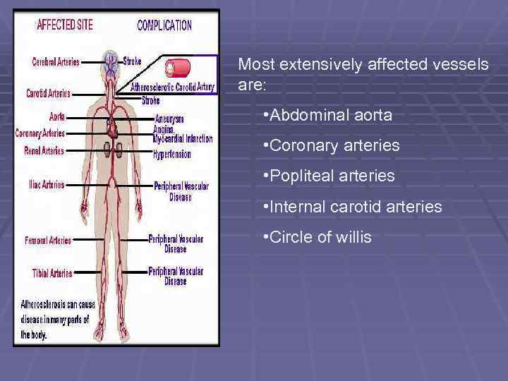 Most extensively affected vessels are: • Abdominal aorta • Coronary arteries • Popliteal arteries