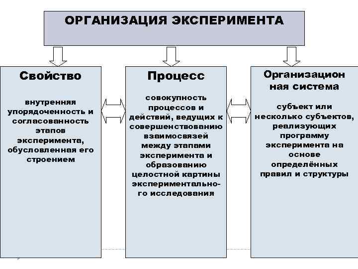 Эксперимент организация эксперимента