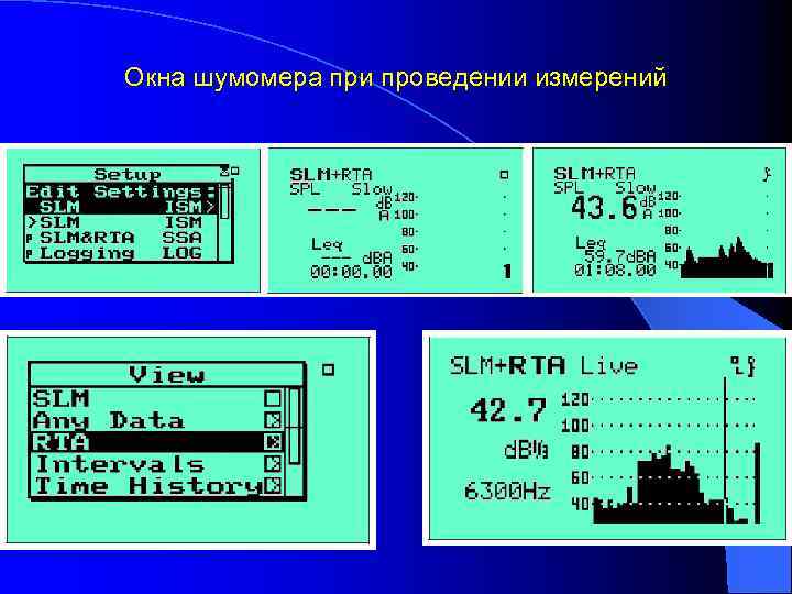 Окна шумомера при проведении измерений 