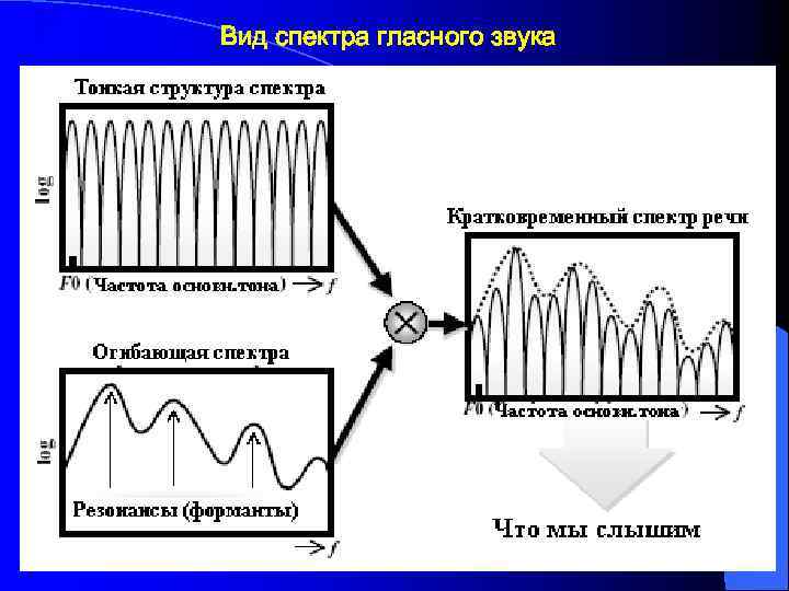 Спектр гласного звука Вид спектра гласного звука 