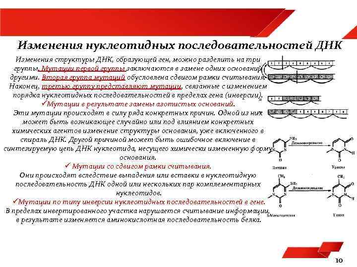 Изменения нуклеотидных последовательностей ДНК Изменения структуры ДНК, образующей ген, можно разделить на три группы.