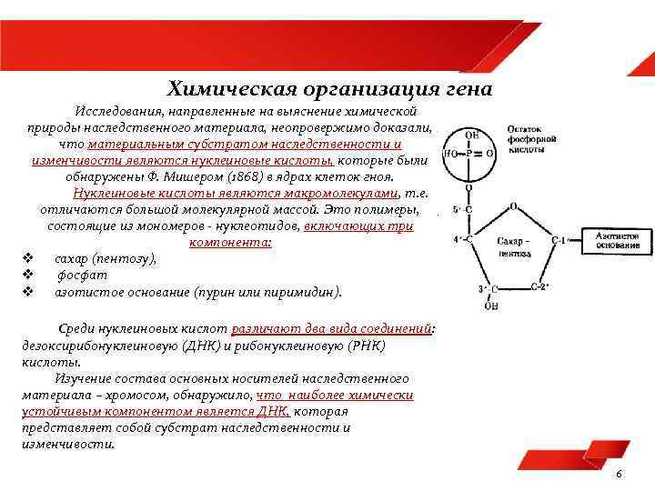 Химическая организация генетического материала