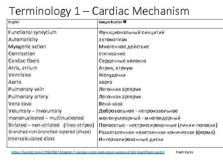 Terminology 1 – Cardiac Mechanism English Google Russian Functional syncytium Automaticity Myogenic action Contraction