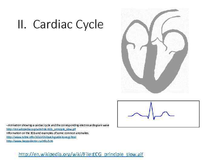 II. Cardiac Cycle --Animation showing a cardiac cycle and the corresponding electrocardiogram wave http: