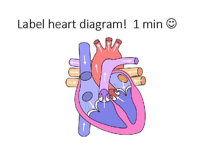 Label heart diagram! 1 min 