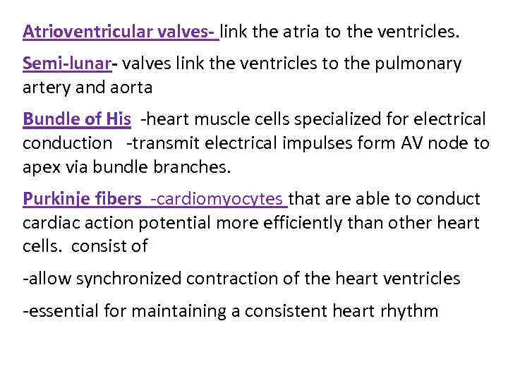 Atrioventricular valves- link the atria to the ventricles. Semi-lunar- valves link the ventricles to