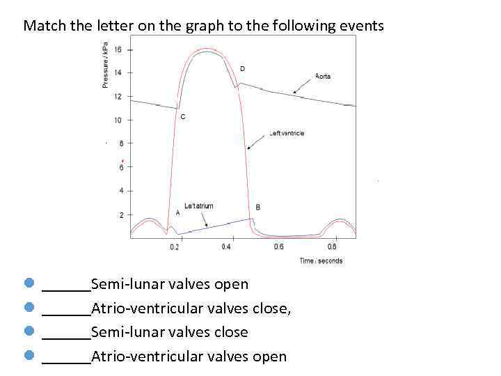 Match the letter on the graph to the following events l l ______Semi-lunar valves