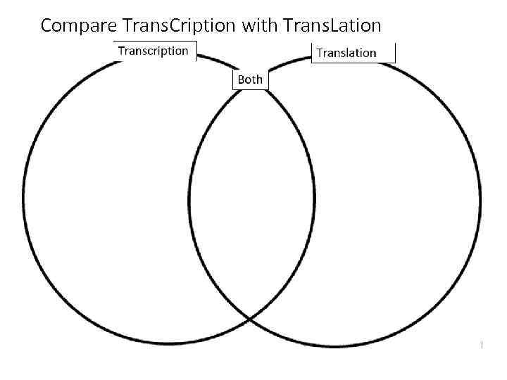 Compare Trans. Cription with Trans. Lation 