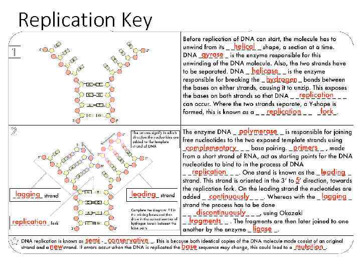 Replication Key 